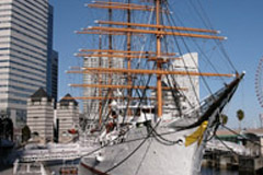 輪船游艇用密封條系列 輪船游艇用密封條系列